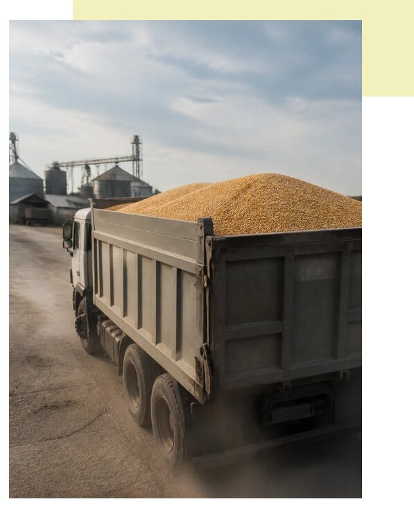 Перевозка сельхозпродукции навалом в Балаково по цене от 3053 р. | Агросервис-Блк